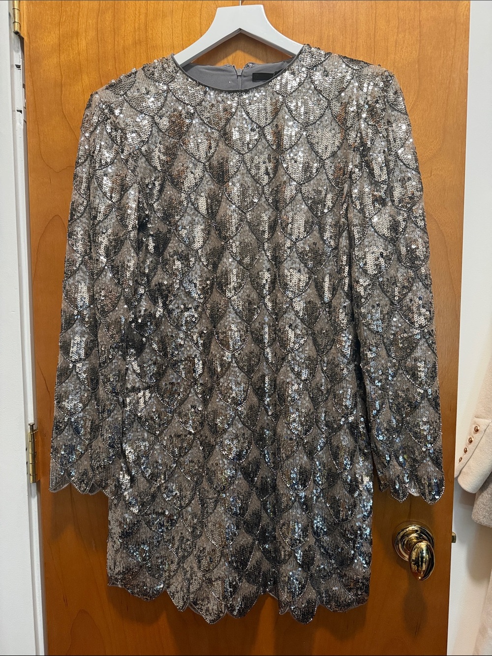 Sequined Long-Sleeve Silver Party Top
